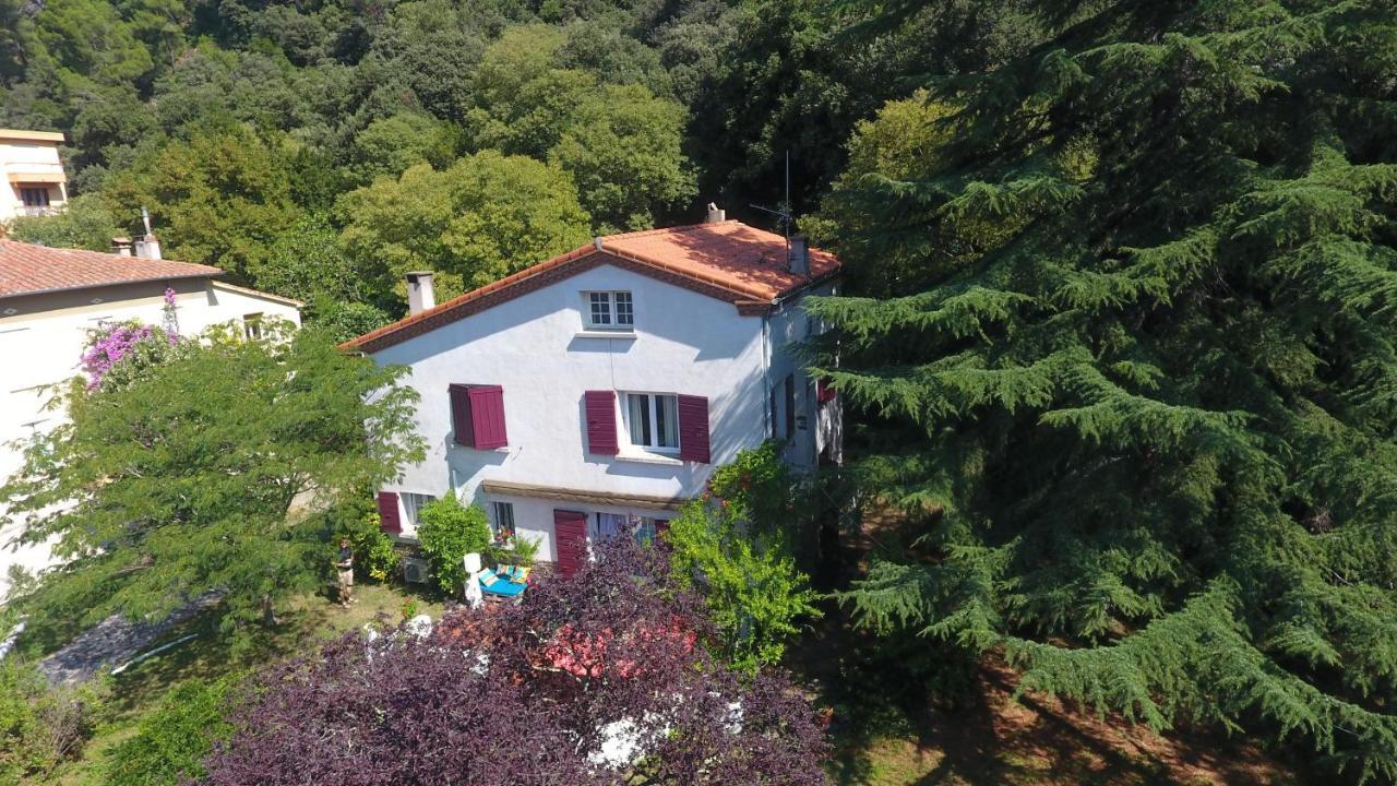 Villa Riviera Chambres Privees Amélie-les-Bains-Palalda Eksteriør billede