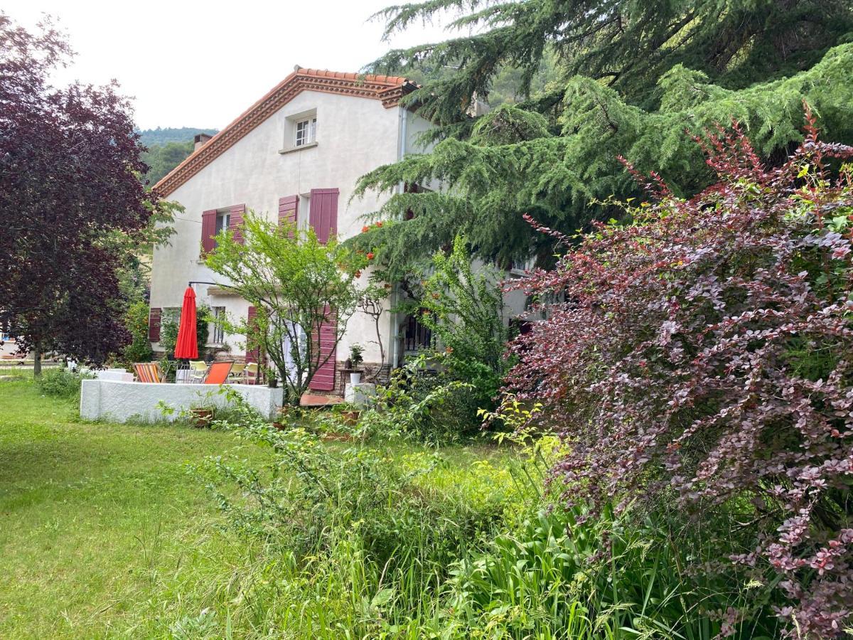 Villa Riviera Chambres Privees Amélie-les-Bains-Palalda Eksteriør billede