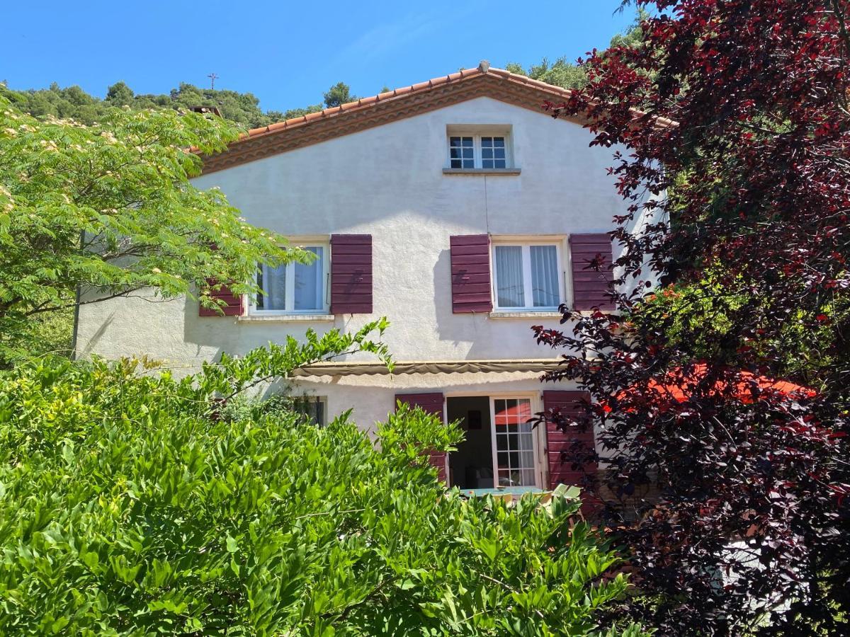 Villa Riviera Chambres Privees Amélie-les-Bains-Palalda Eksteriør billede